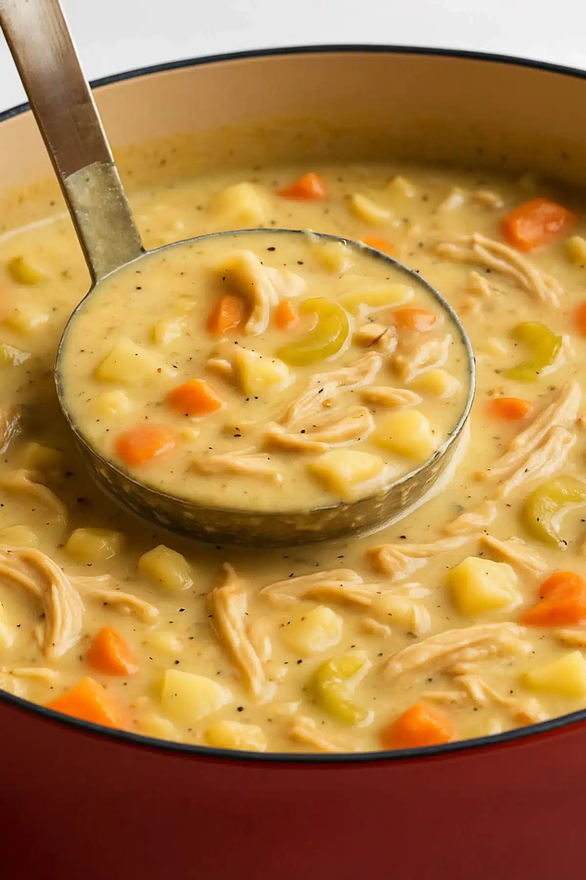 Creamy Chicken Noodle Soup recipe