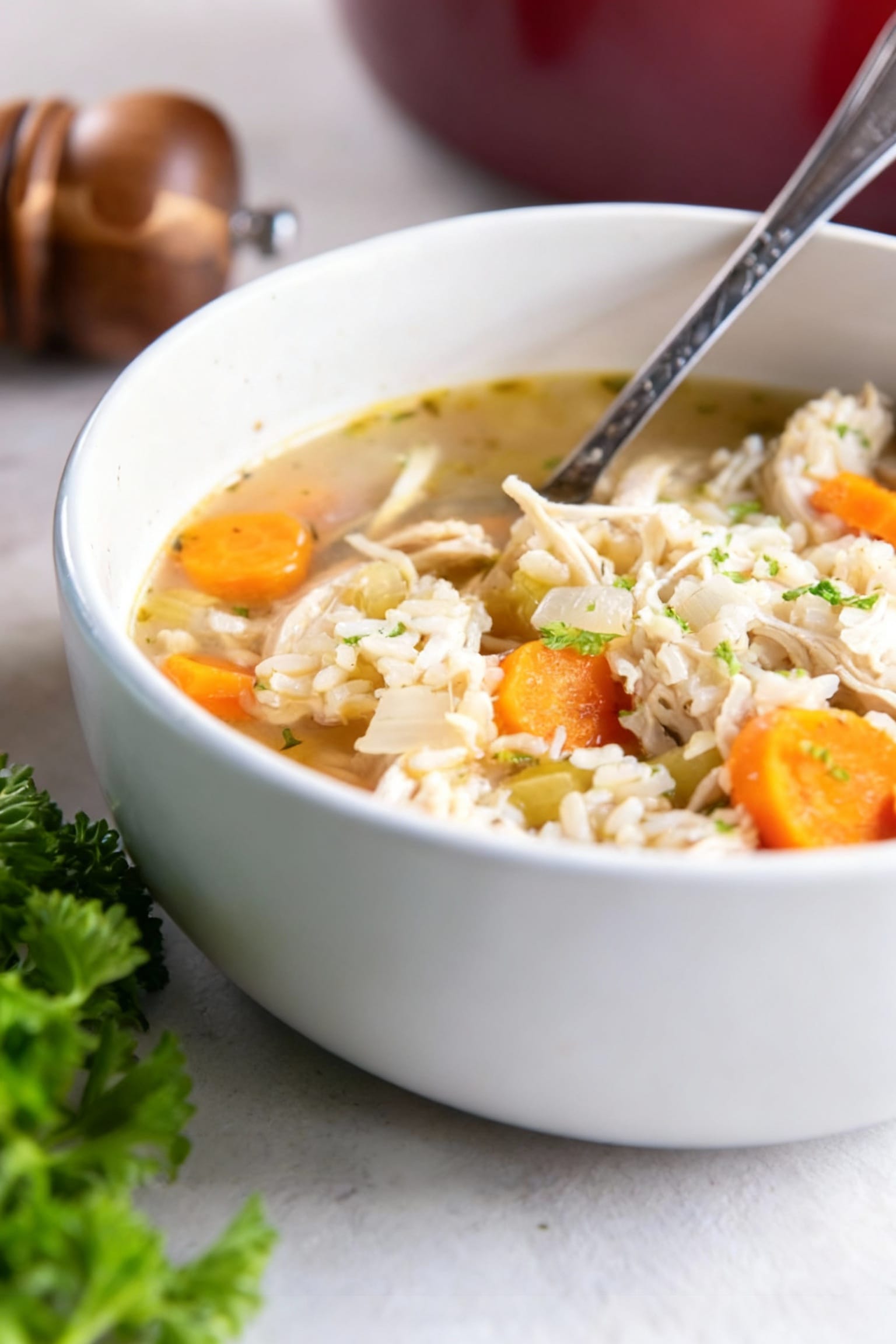 Everything-you-need-for-the-perfect-Chicken-and-Rice-Soup
