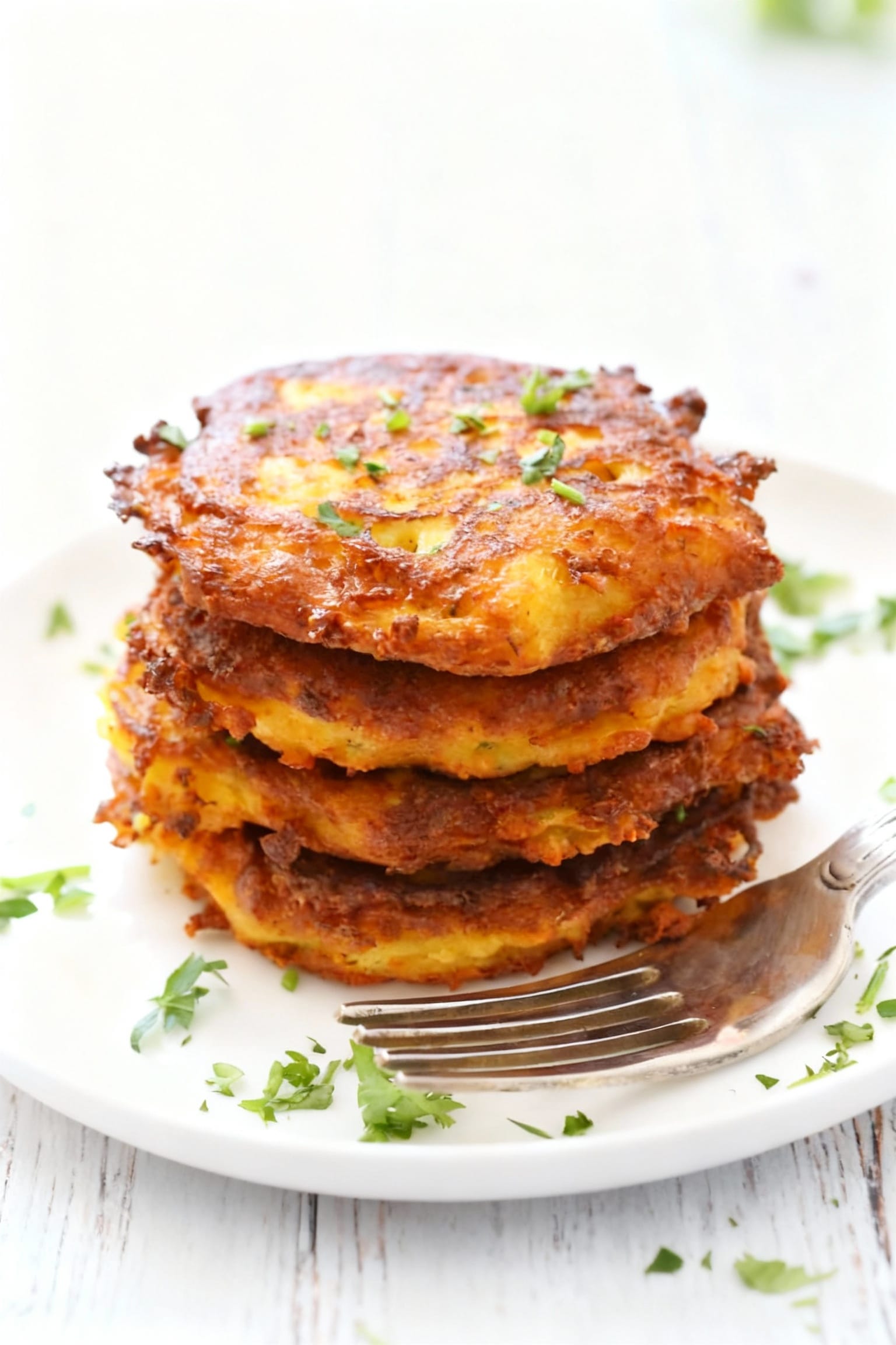 What-makes-this-Spaghetti-Squash-Fritters-a-keeper-for-years-to-come