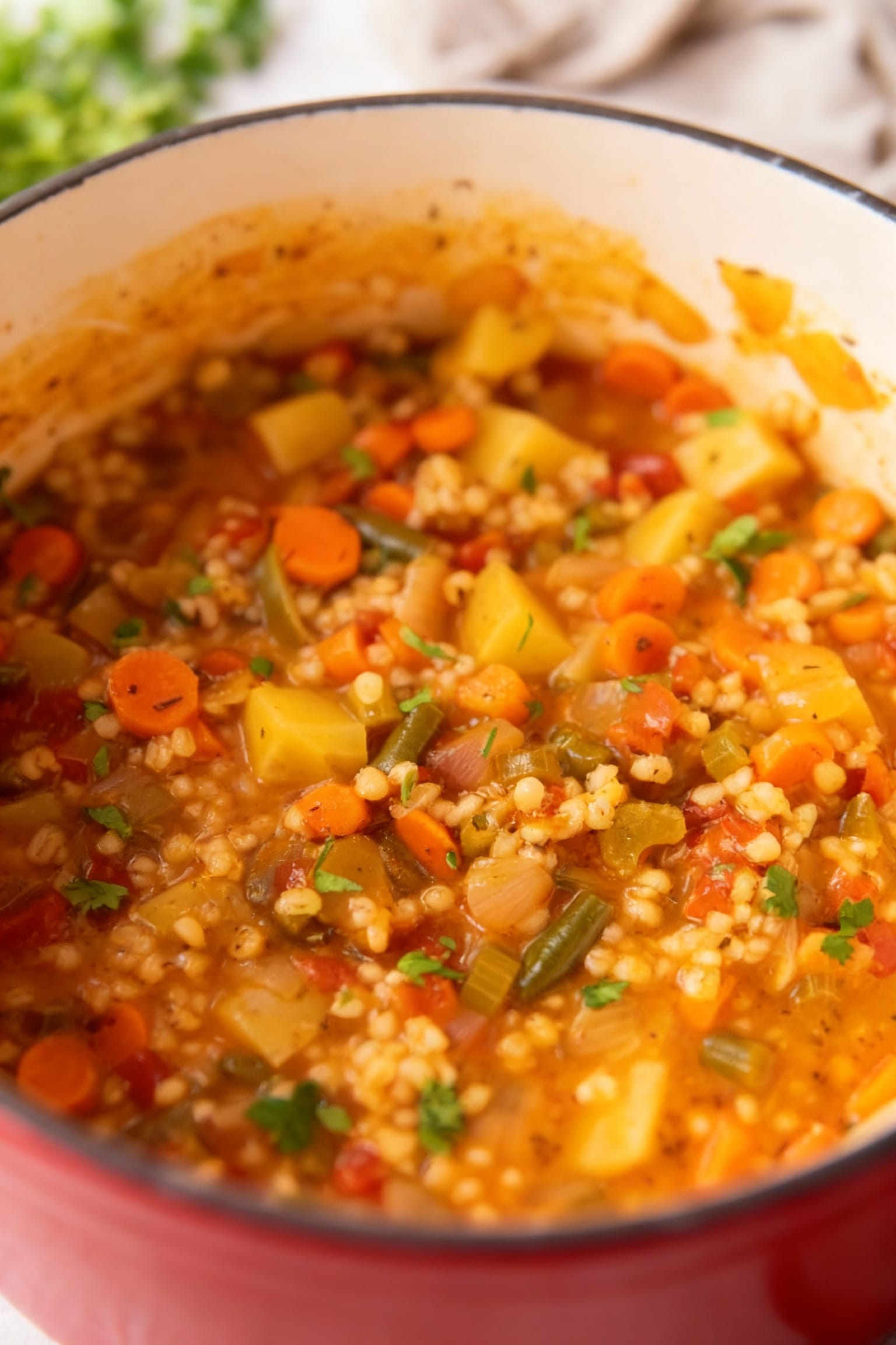 Savory Vegetable Barley Soup Recipe What-makes-this-Vegetable-Barley-Soup-a-keeper-for-years-to-come