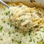 Chicken Tetrazzini